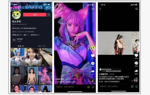 最新爆料动画大全视频,揭秘最新爆料动画大全精彩瞬间